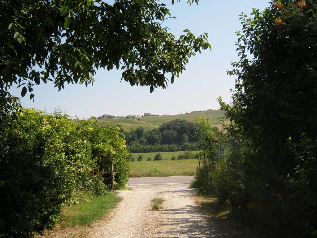 Agriturismo Le Vigne Φέρμο Εξωτερικό φωτογραφία