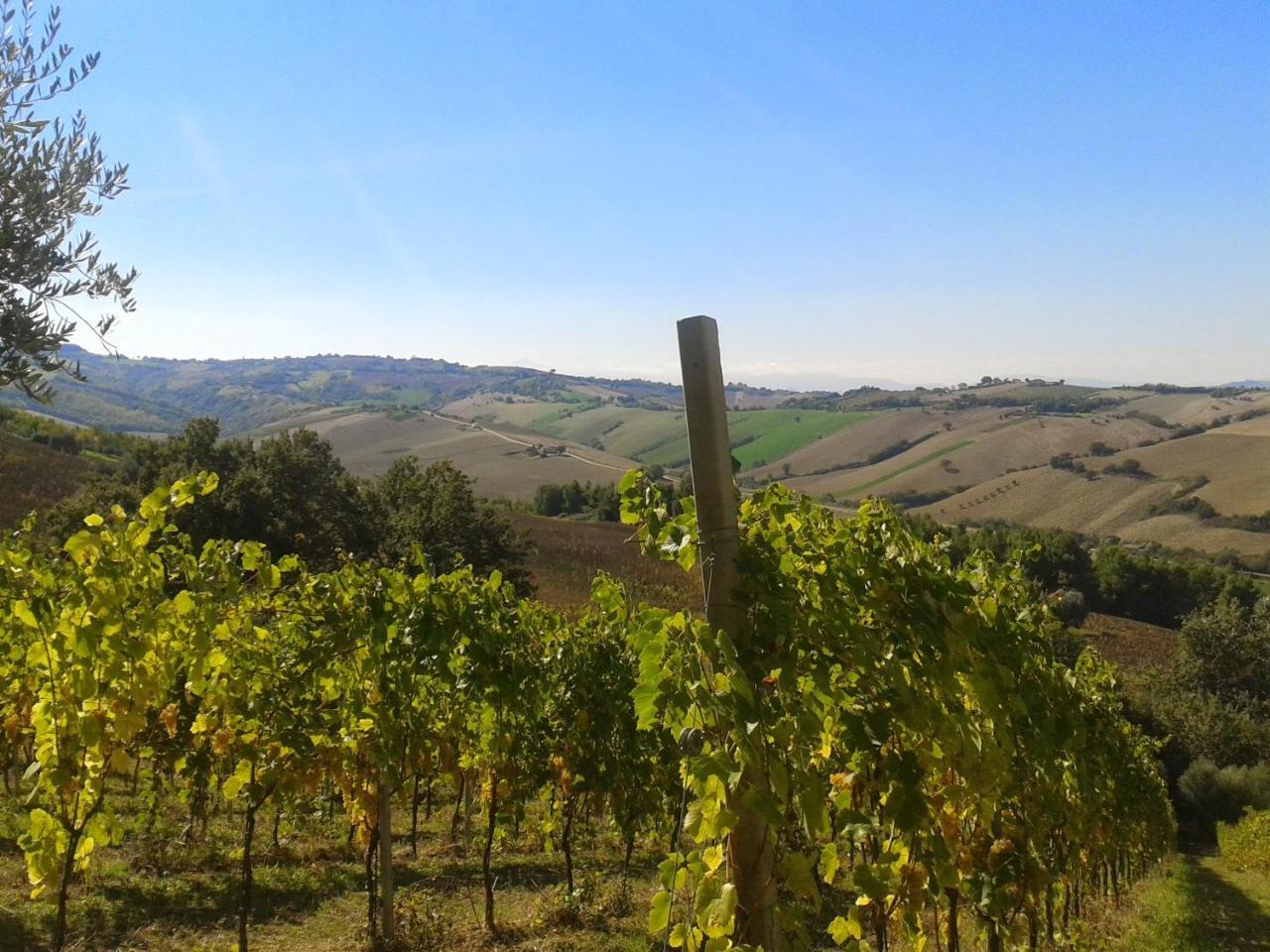 Agriturismo Le Vigne Φέρμο Εξωτερικό φωτογραφία